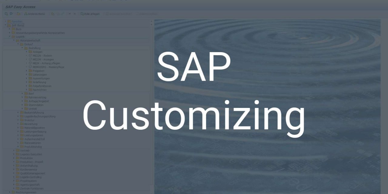 SAP Customizing – SAP individuell auf die Bedürfnisse anpassen