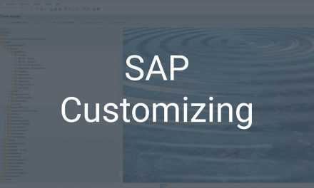 SAP Customizing – SAP individuell auf die Bedürfnisse anpassen