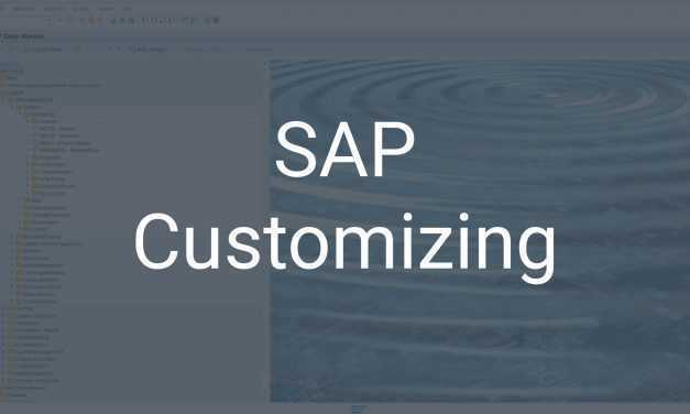 SAP Customizing – SAP individuell auf die Bedürfnisse anpassen
