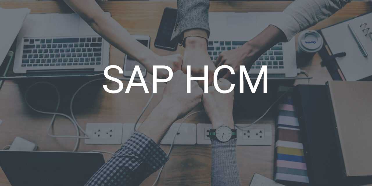 SAP HCM – Personalmanagement einfach gestalten