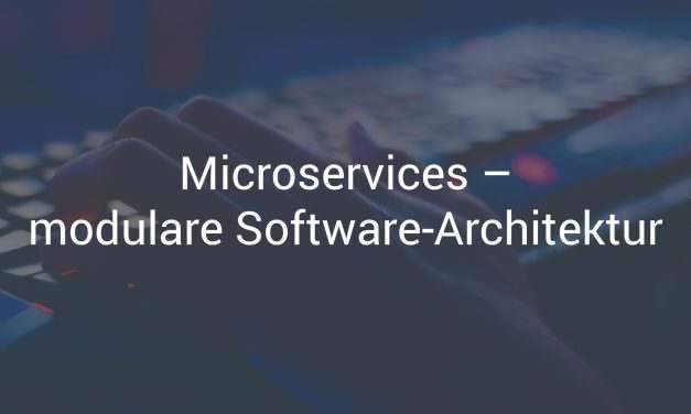 Lohnt sich die modulare Software-Architektur mit Microservices?
