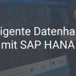 Intelligente Datenhaltung mit SAP HANA