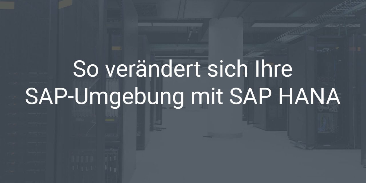 SAP HANA und Sybase – so verändert sich Ihre SAP-Systemlandschaft