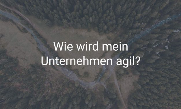 Agile Unternehmen mit SAP – die Daten sind im Fluss