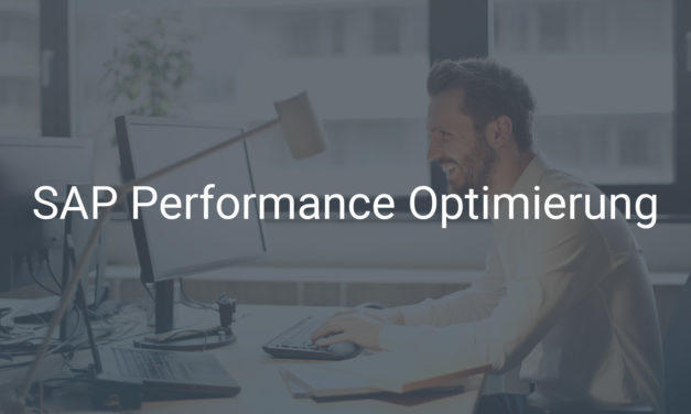 SAP Performance Optimierung für ein schnelles und jederzeit verfügbares SAP-System