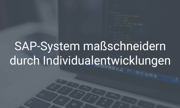 SAP-System maßschneidern durch Individualentwicklungen