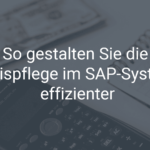 So gestalten Sie die Preispflege im SAP-System effizienter
