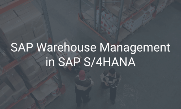 Lagerverwaltung mit SAP S/4HANA: SAP EWM Basic und SAP Stock Room Management