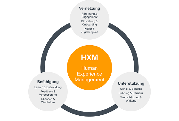 SAP SuccessFactors HXM-Suite