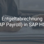 Zeit sparen mit der Entgeltabrechnung (SAP Payroll) in SAP HCM