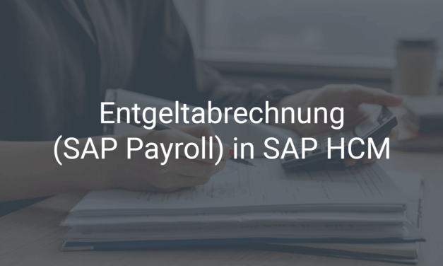 Zeit sparen mit der Entgeltabrechnung (SAP Payroll) in SAP HCM