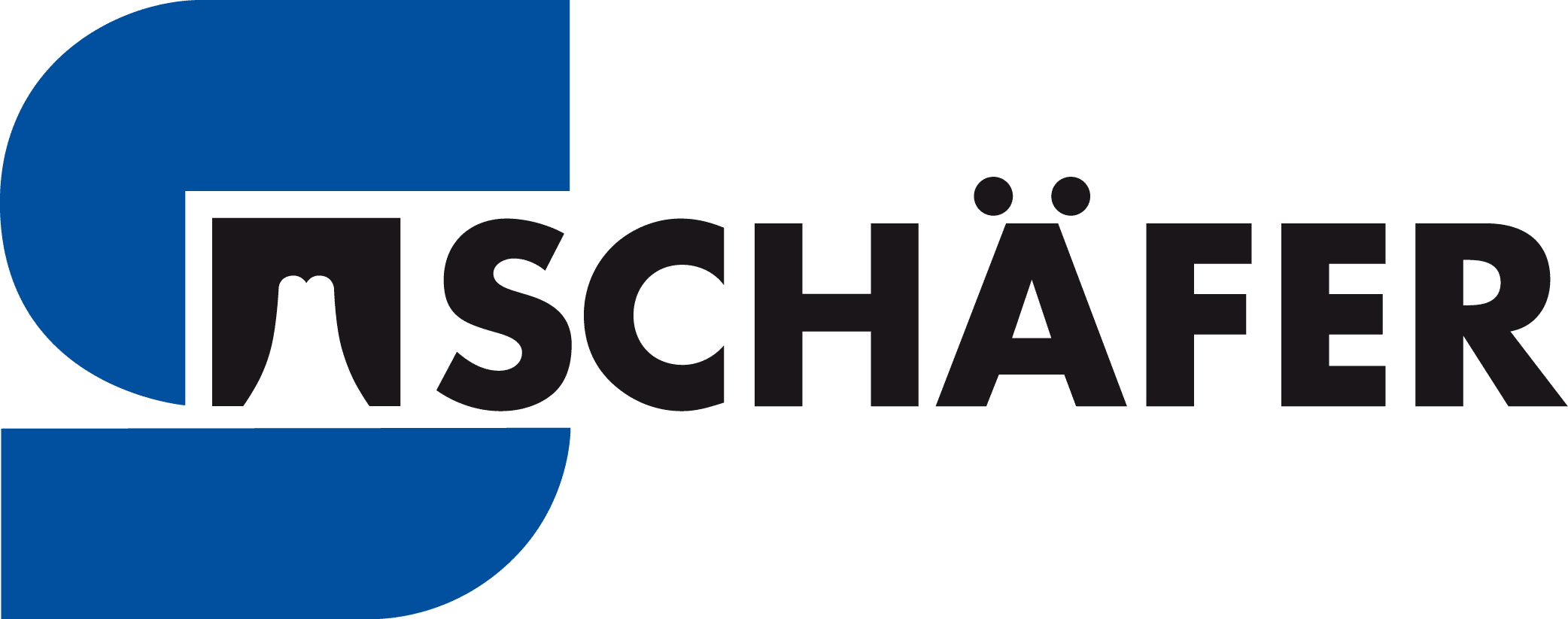 IT-Services Referenz Schäfer Werkzeug- und Sondermaschinenbau GmbH