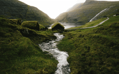 Agile Unternehmen mit SAP – Die Daten sind im Fluss
