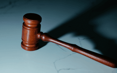 DSGVO – was Unternehmen erwartet und wie Sie hohe Strafen vermeiden