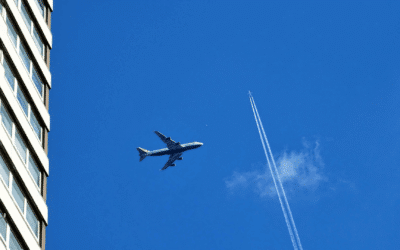 Migration auf SAP S/4HANA – das ist der perfekte Anfang