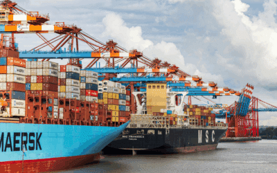 Mittelstandsgerechte Lösungen für den Außenhandel in SAP S/4HANA