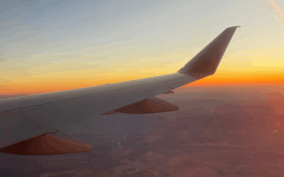 RISE WITH SAP – Unternehmenstransformation mit der SAP S/4HANA Cloud