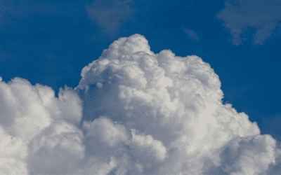 S/4HANA Cloud Transition Option 2033 – Fluch oder Segen?