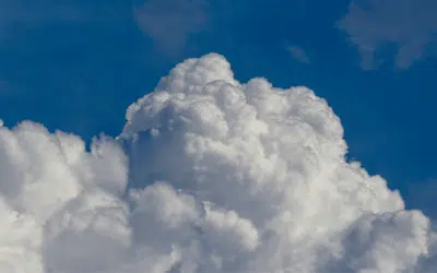 S/4HANA Cloud Transition Option 2033 – Fluch oder Segen?