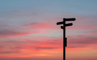 S/4HANA Lizenzierung – Ihr Weg zum passenden Lizenzmodell in SAP S/4HANA